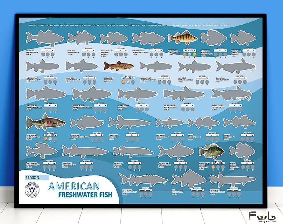 Freshwater Fish Scratch Off Poster